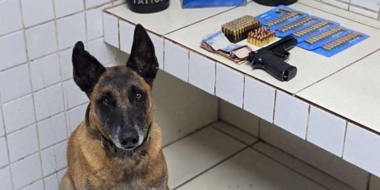 Polícia prende suspeitos e apreende armas e drogas na Serra
