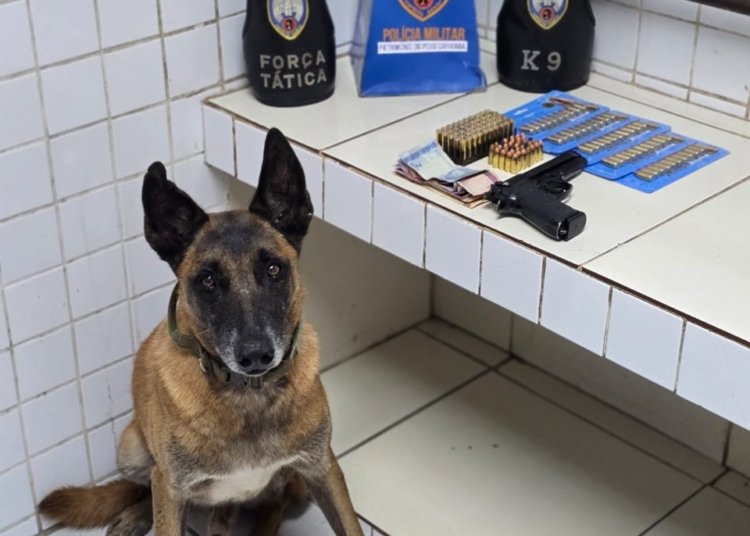 Polícia prende suspeitos e apreende armas e drogas na Serra