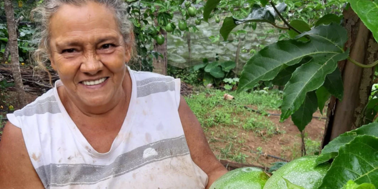 Programa distribui 1,5 milhão de mudas para diversificar produção em propriedades rurais