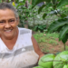 Programa distribui 1,5 milhão de mudas para diversificar produção em propriedades rurais
