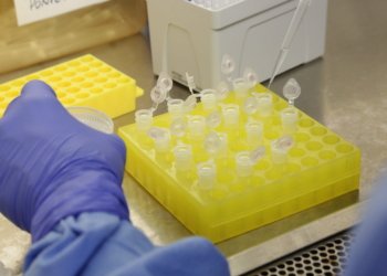 SP confirma segundo caso importado de sarampo em 2026