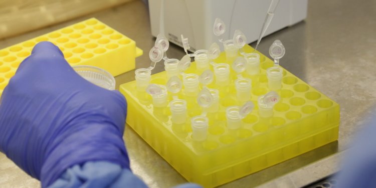 SP confirma segundo caso importado de sarampo em 2026