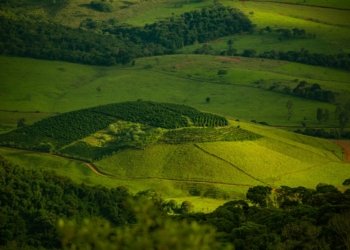 A scenic view of rolling hills and green farmlands with lush vegetation.