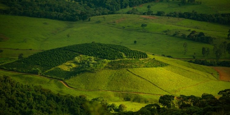 A scenic view of rolling hills and green farmlands with lush vegetation.