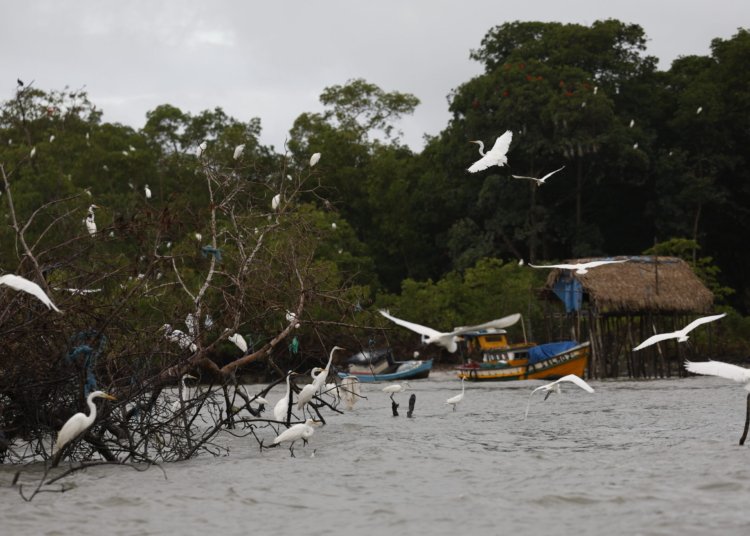 Amazônia Soberana: governo federal reforça combate ao crime na fronteira