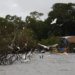 Amazônia Soberana: governo federal reforça combate ao crime na fronteira