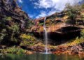 Ataque de onça-parda fere criança de 8 anos na Chapada dos Veadeiros