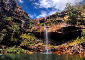Ataque de onça-parda fere criança de 8 anos na Chapada dos Veadeiros