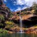 Ataque de onça-parda fere criança de 8 anos na Chapada dos Veadeiros