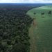 Brasil apresenta propostas de preservação florestal em fórum da ONU