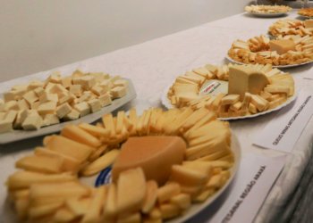 Brasil inicia importações de queijo com tarifa menor após acordo Mercosul–UE
