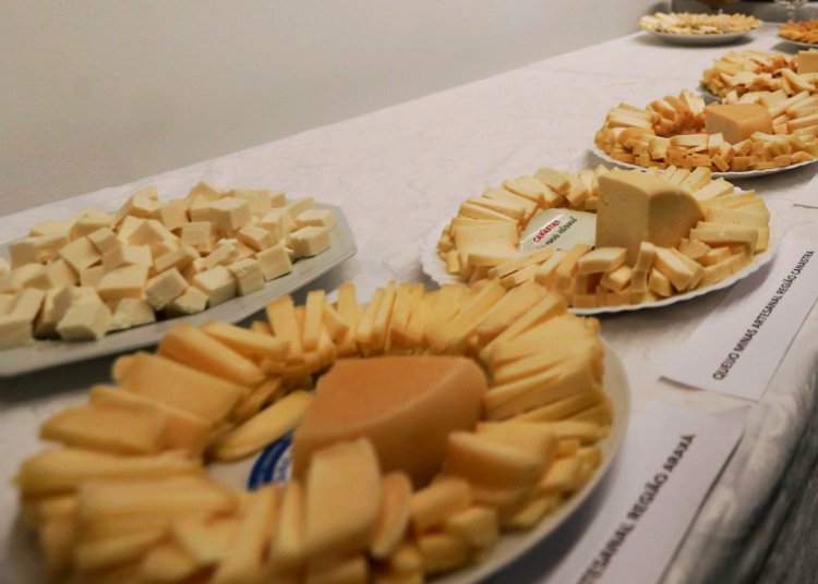 Brasil inicia importações de queijo com tarifa menor após acordo Mercosul–UE