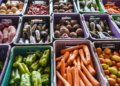 Campanha Alimente a Esperança busca ampliar apoio nutricional a pacientes do Inca