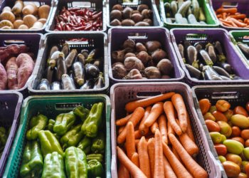 Campanha Alimente a Esperança busca ampliar apoio nutricional a pacientes do Inca
