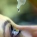 Campanha nacional alerta para diagnóstico precoce do glaucoma e combate à cegueira