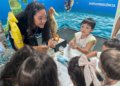 Cavalos-Marinhos: projeto abre laboratório com animais vivos e debate clima no Rio