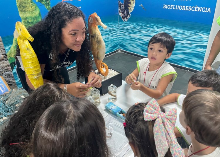 Cavalos-Marinhos: projeto abre laboratório com animais vivos e debate clima no Rio