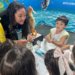 Cavalos-Marinhos: projeto abre laboratório com animais vivos e debate clima no Rio