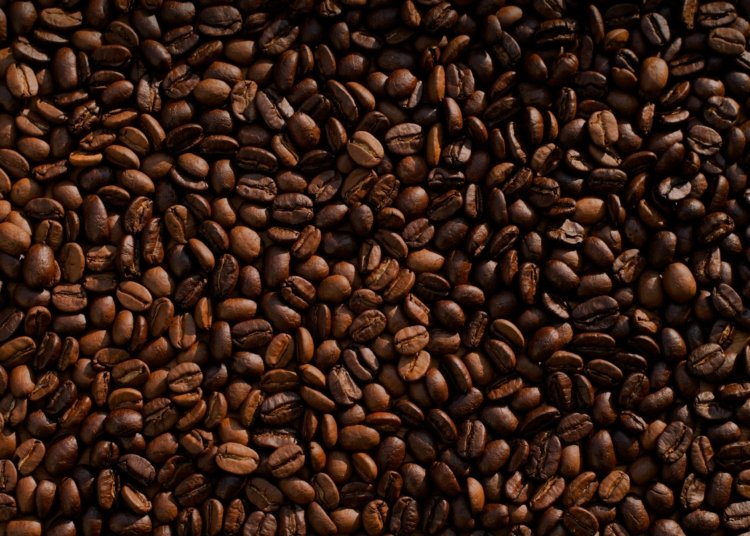 coffee bean lot