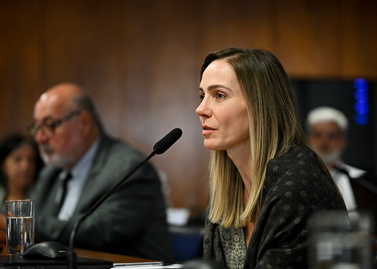 Conselho vai debater desinformação e IA em eleições