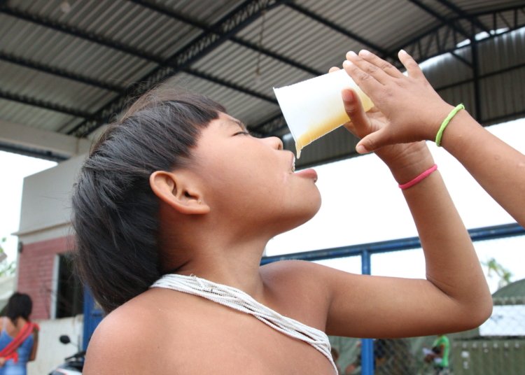 Consumo de alimentos ultraprocessados avança entre povos tradicionais no Brasil