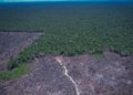 COP30 e COP31 articulam acelerador global para metas climáticas