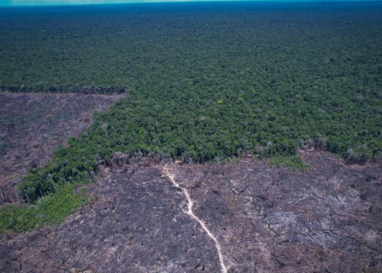 COP30 e COP31 articulam acelerador global para metas climáticas