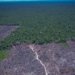 COP30 e COP31 articulam acelerador global para metas climáticas
