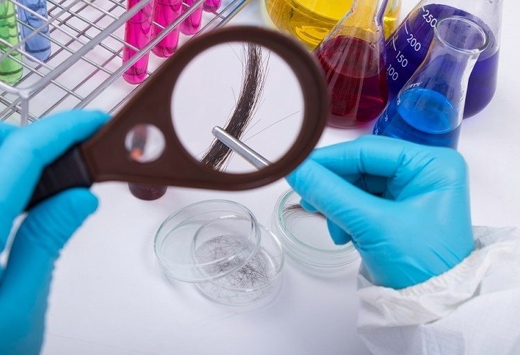 Detran|ES torna exame toxicológico obrigatório para novos condutores