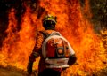 El Niño leva STF a exigir plano contra incêndios na Amazônia Legal