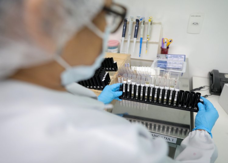 Fiocruz conquista patente americana para novo tratamento contra malária resistente