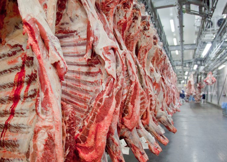 Governo reage à UE e diz que vai buscar reversão do veto a carnes brasileiras