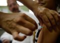 HPV causa 7,5 mil mortes anuais e 29 mil internações no Brasil, diz estudo