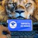 Imposto de Renda 2026: 40% dos contribuintes ainda não acertaram contas com o Leão