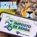 IR 2026: 11,5 milhões ainda não enviaram a declaração faltando 4 dias