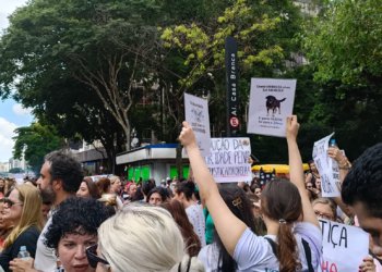 Justiça arquiva caso do cão Orelha após conclusão do Ministério Público