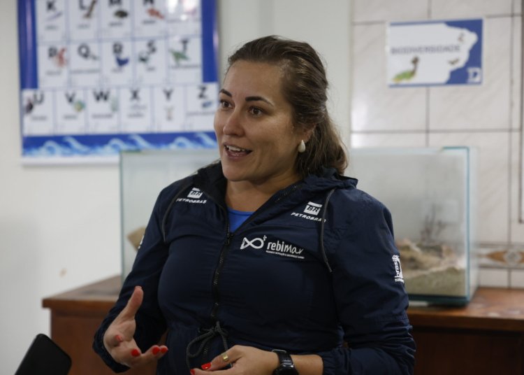 Microplástico em peixes do litoral do Paraná chega a 93,6% e acende alerta