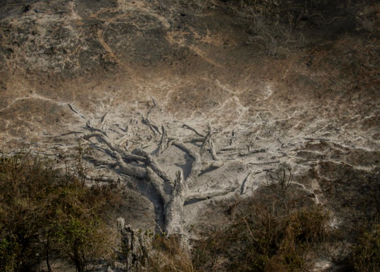 Mudanças climáticas atingem 85% dos brasileiros e revelam medo do futuro