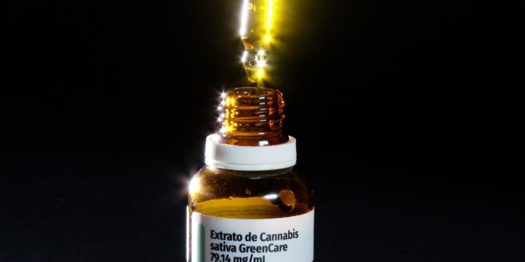 Mulheres de 45 a 64 anos puxam consumo de cannabis medicinal no Brasil