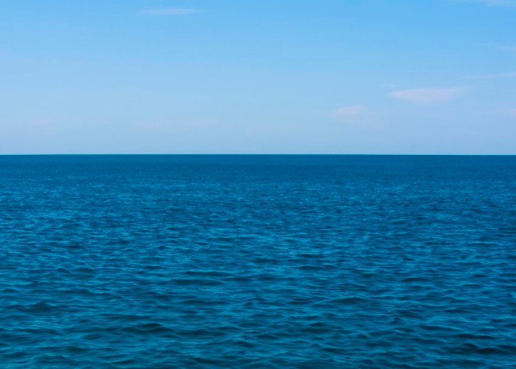 OMS confirma apenas três mortes por hantavírus e descarta risco de uma nova pandemia global