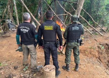 Operação conjunta combate garimpo ilegal na divisa entre Amapá e Pará