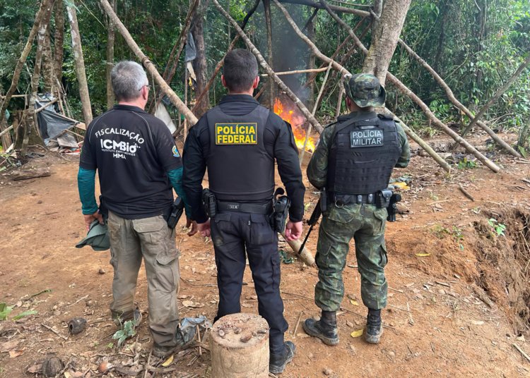 Operação conjunta combate garimpo ilegal na divisa entre Amapá e Pará
