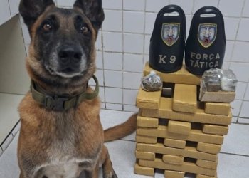 Operação do 6º BPM resulta em apreensão de drogas e armas na Serra