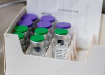 Prefeitura de São Paulo expande vacinação contra a dengue para novos grupos prioritários