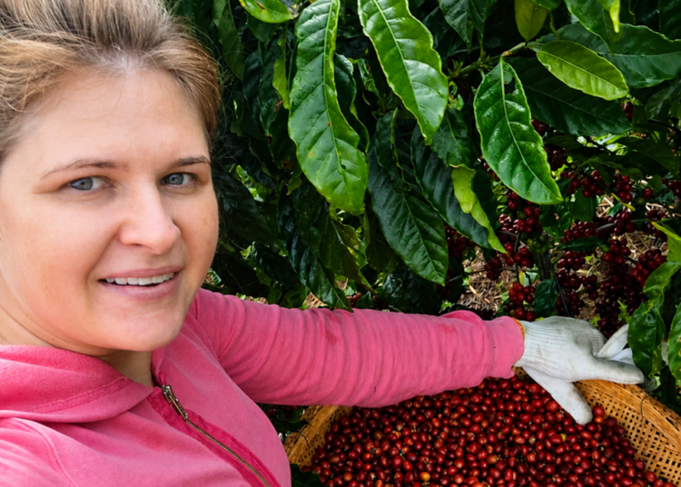 Projeto Mulheres do Café busca trajetórias de produtoras para fortalecer setor capixaba