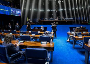 Senado aprova criminalização do exercício ilegal da medicina veterinária