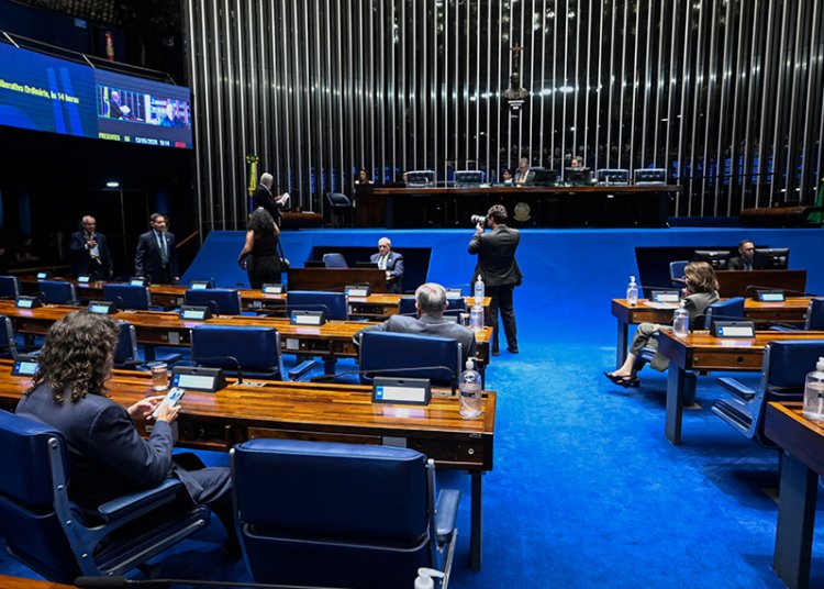 Senado aprova criminalização do exercício ilegal da medicina veterinária