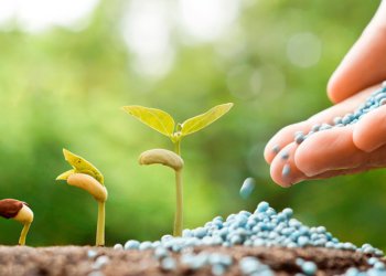 Senado retoma debate sobre subsídios para impulsionar a produção nacional de fertilizantes