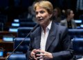 Senado se prepara para avaliar proposta que reformula regras e barateia seguro rural