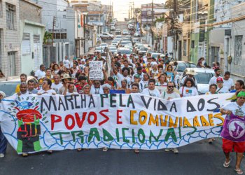 Viva Maria destaca aliança inédita para defender a Mata Atlântica neste 27
